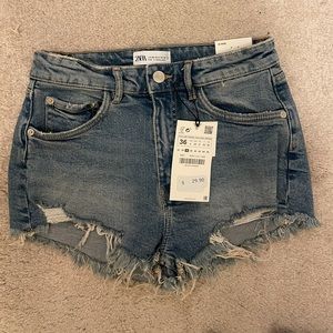 Hi Rise Denim Shorts